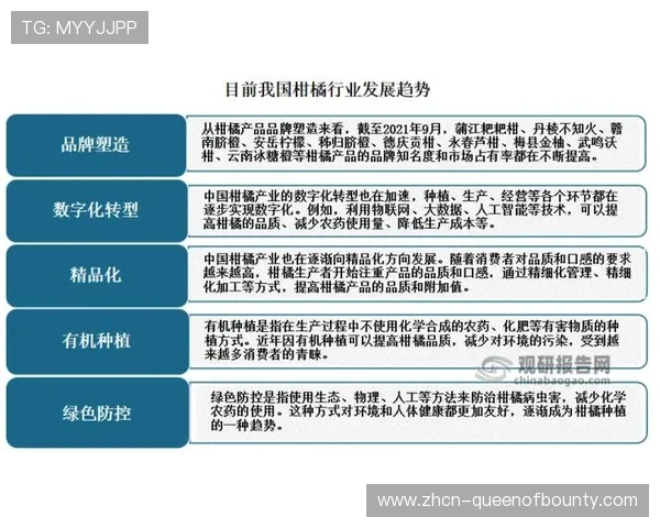 行业内正逐步普及标准化测评工具 促进了体育直播质量管理体系的跨境互认